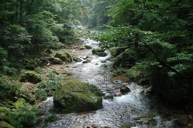 我老家在农村，30年前村里的池塘可以洗菜洗衣服游泳，现在都是垃圾和发臭，你怎么看？