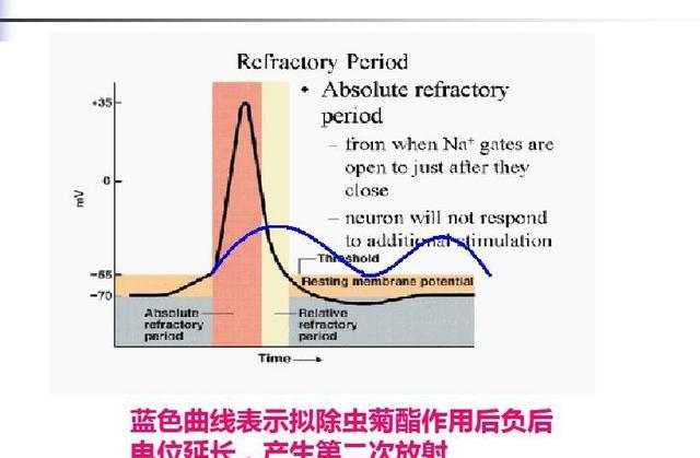 为什么梨木虱喷药后第二天感到严重了？