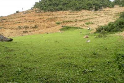 农村耕地撂荒的越来越多了，土地流转是最后的途径吗？