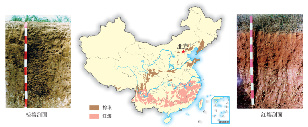 土壤百科知识图解