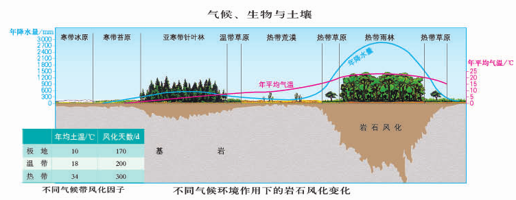 土壤百科知识图解