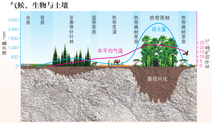 土壤百科知识图解