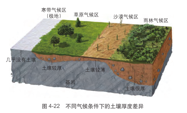 土壤百科知识图解