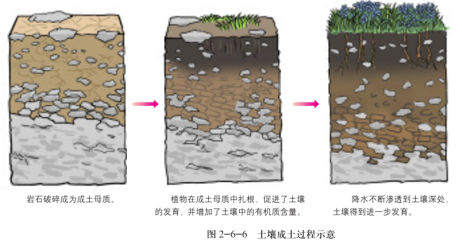 土壤百科知识图解