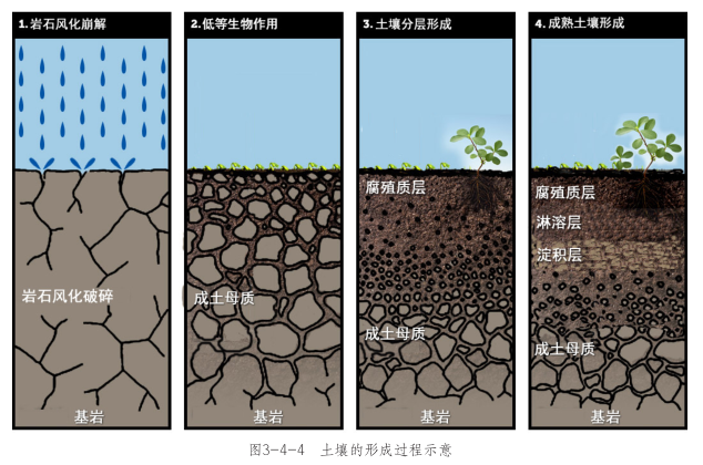 土壤百科知识图解