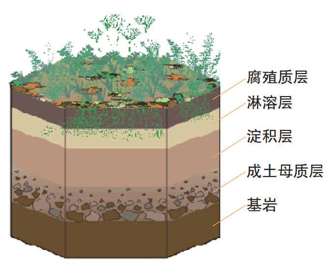 土壤百科知识图解