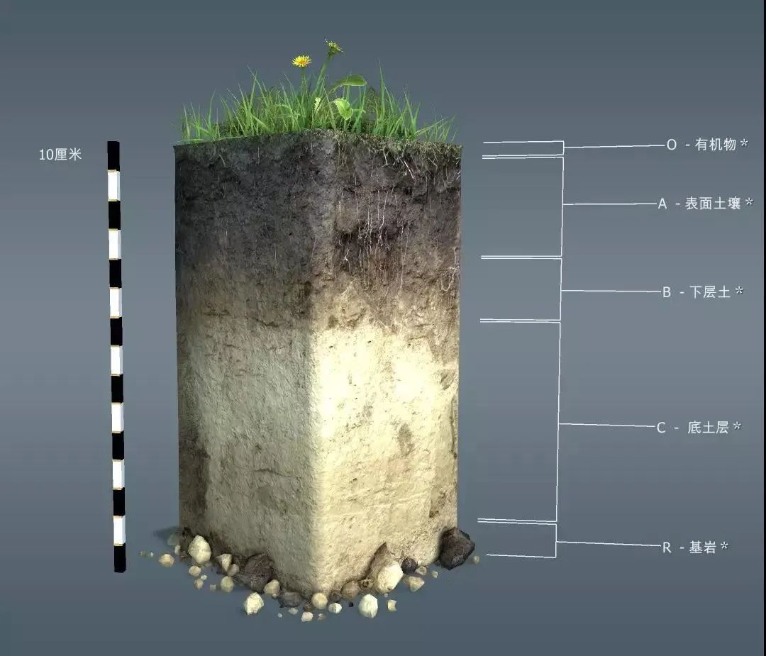 土壤百科知识图解