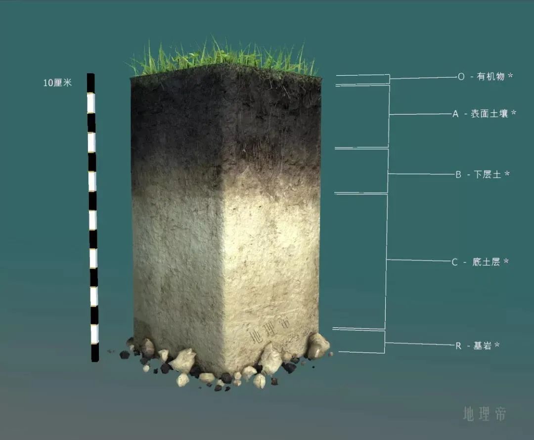 土壤百科知识图解