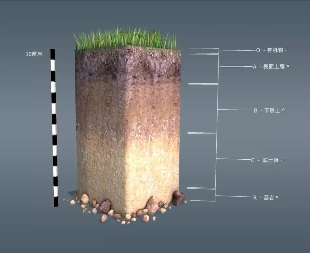 土壤百科知识图解