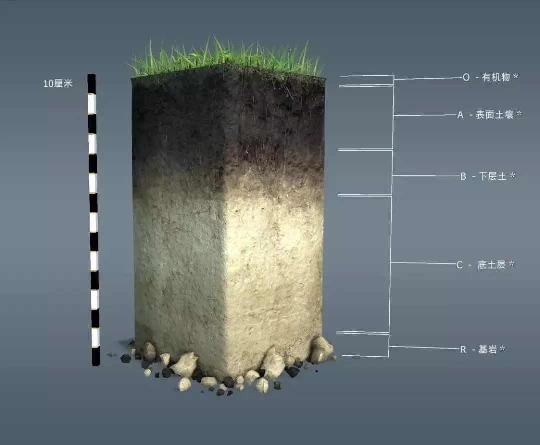 土壤百科知识图解