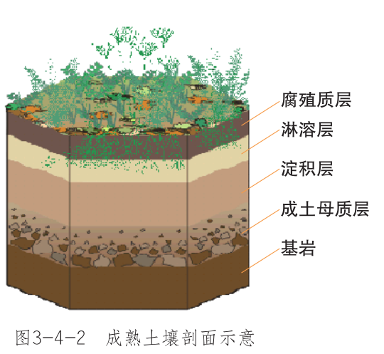 土壤百科知识图解