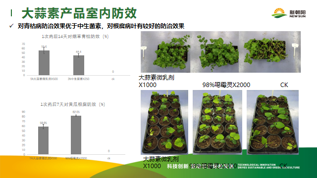 土传病害根治的方法 土传病害的解决方案