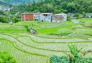 农村征地补偿新标准