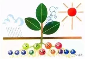 种地50条肥料知识