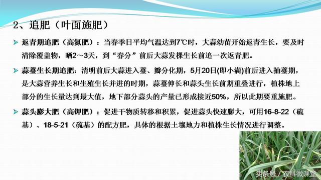 大蒜种植管理技术——专题讲座