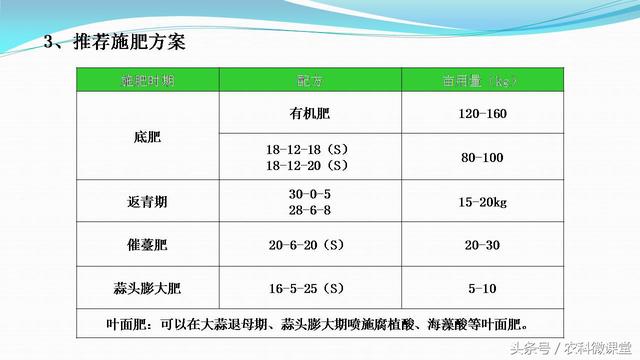 大蒜种植管理技术——专题讲座