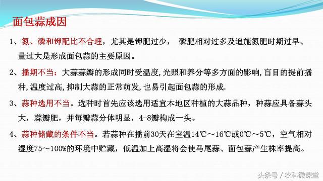 大蒜种植管理技术——专题讲座