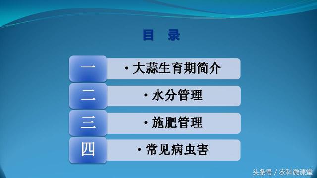 大蒜种植管理技术——专题讲座