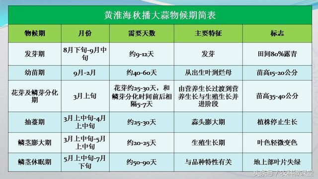 大蒜种植管理技术——专题讲座