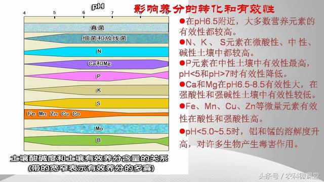 黄瓜栽培管理技术——专题讲座