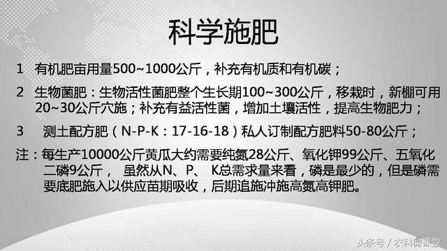 黄瓜栽培管理技术——专题讲座