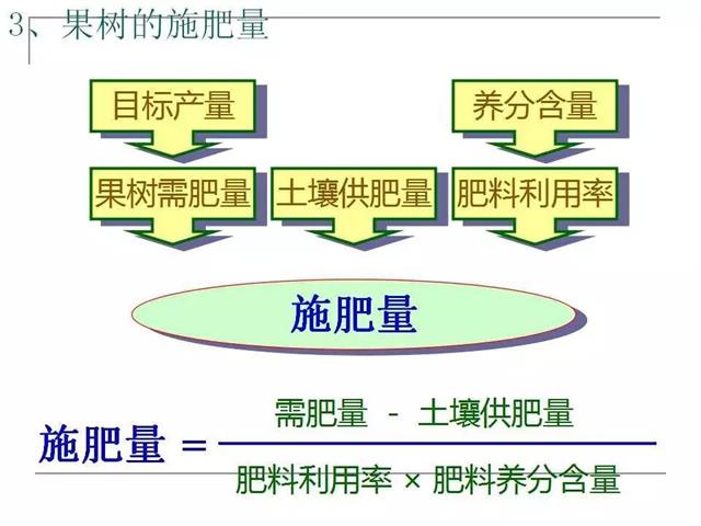 果园管理要点【精简版】