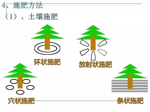 果园管理要点【精简版】