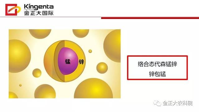 作物病虫害诊断及农药应用基础（下）