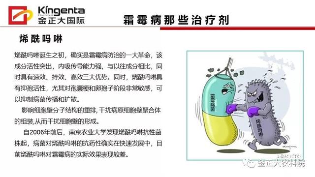 作物病虫害诊断及农药应用基础（下）