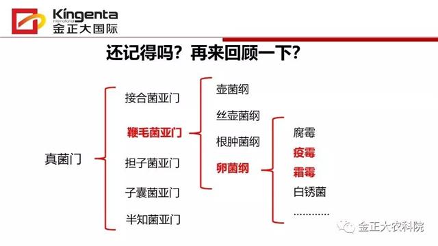 作物病虫害诊断及农药应用基础（下）