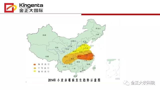 作物病虫害诊断及农药应用基础（下）