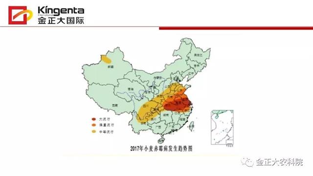 作物病虫害诊断及农药应用基础（下）