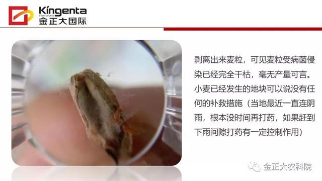 作物病虫害诊断及农药应用基础（下）