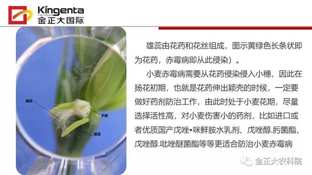 作物病虫害诊断及农药应用基础（下）