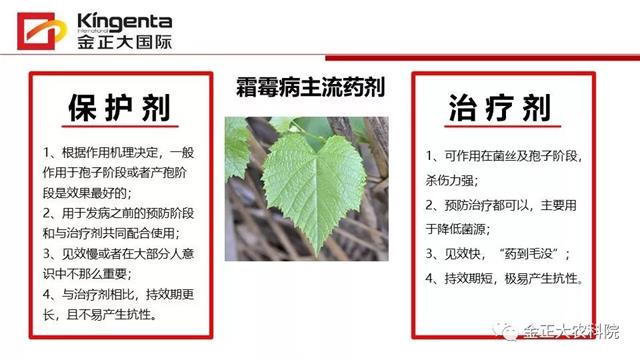 作物病虫害诊断及农药应用基础（下）