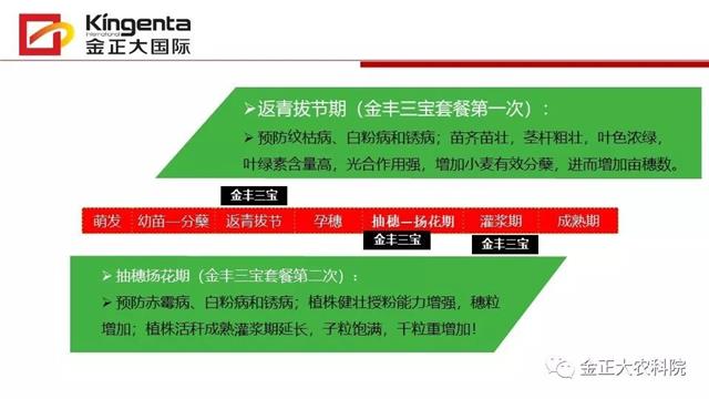 作物病虫害诊断及农药应用基础（下）