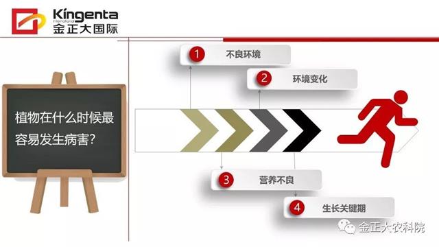 作物病虫害诊断及农药应用基础（上）