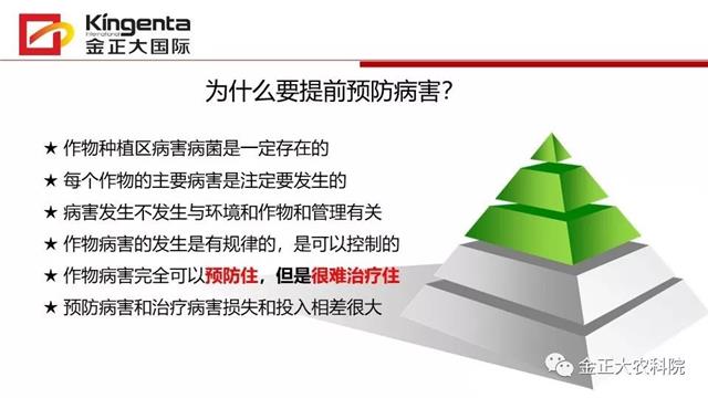 作物病虫害诊断及农药应用基础（上）