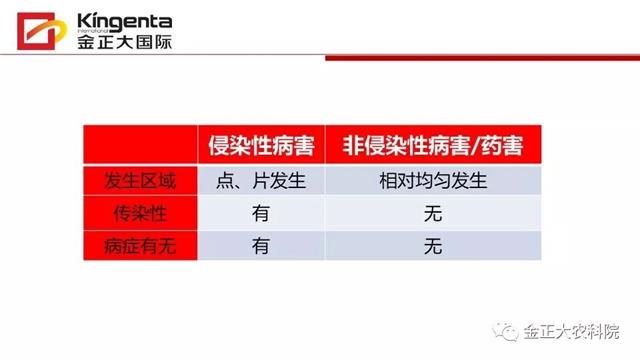 作物病虫害诊断及农药应用基础（上）