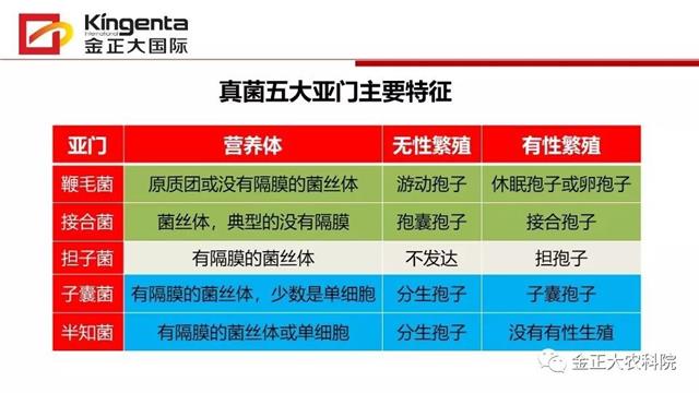 作物病虫害诊断及农药应用基础（上）