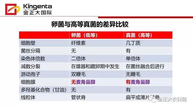 作物病虫害诊断及农药应用基础（上）