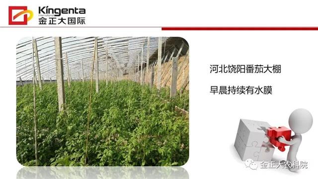 作物病虫害诊断及农药应用基础（上）