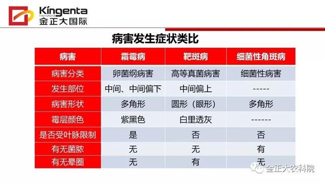 作物病虫害诊断及农药应用基础（上）