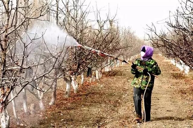 解读果树绿色防控技术，生态防控 物理防治 生物防治！