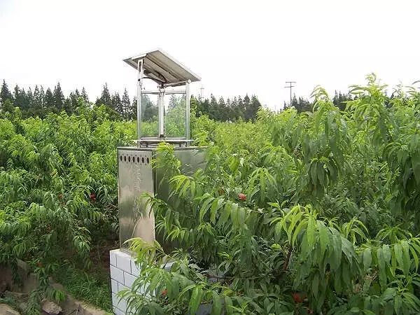 解读果树绿色防控技术，生态防控 物理防治 生物防治！