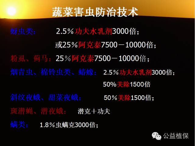 大棚蔬菜病害鉴定图册