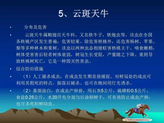 核桃主要病虫害防治技术