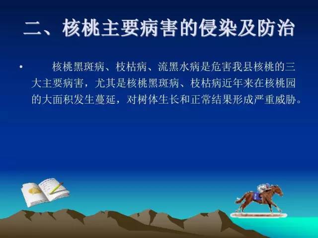 核桃主要病虫害防治技术