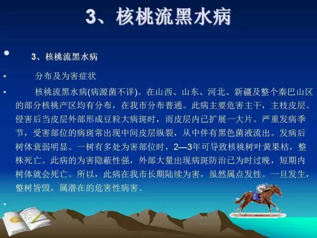 核桃主要病虫害防治技术