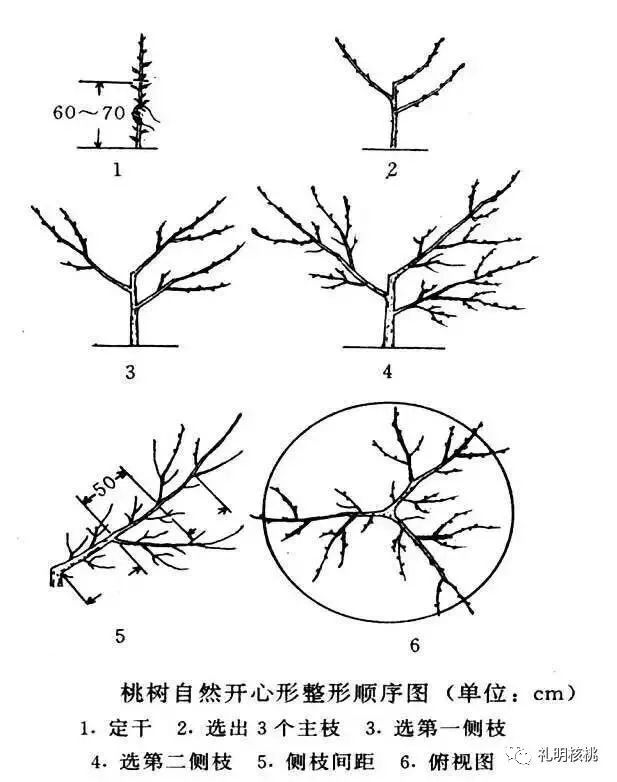 见下图:一:自然开心形